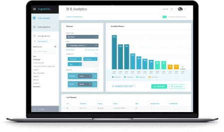 BI & Analytics on computer screen